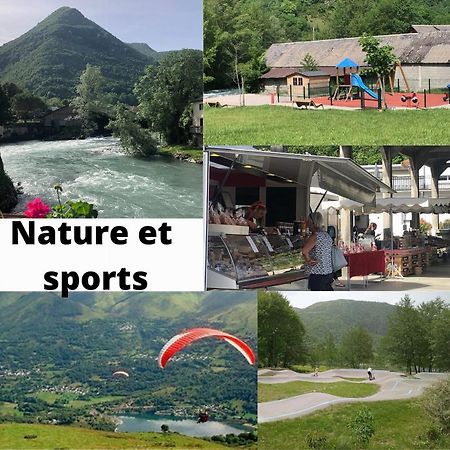Jolie Maison De Ville En Bord De Neste 8/9 Pers Sarrancolin Εξωτερικό φωτογραφία